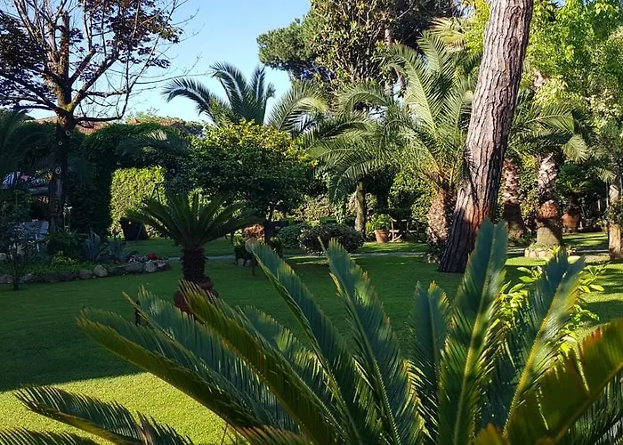 Ambra Hotel Forte dei Marmi